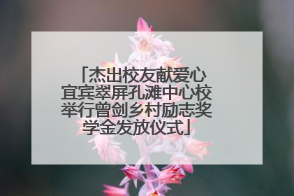 杰出校友献爱心 宜宾翠屏孔滩中心校举行曾剑乡村励志奖学金发放仪式