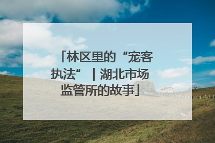 林区里的“宠客执法”｜湖北市场监管所的故事