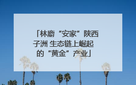 林麝“安家”陕西子洲 生态链上崛起的“黄金”产业