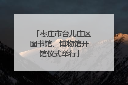 枣庄市台儿庄区图书馆、博物馆开馆仪式举行