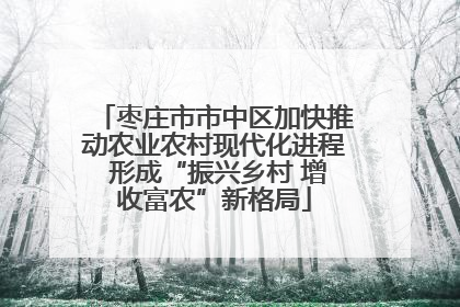 枣庄市市中区加快推动农业农村现代化进程 形成“振兴乡村 增收富农”新格局