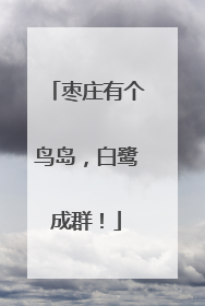 枣庄有个鸟岛，白鹭成群！