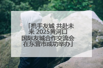 携手友城 共赴未来 2025黄河口国际友城合作交流会在东营市成功举办