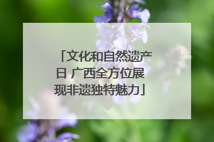 文化和自然遗产日 广西全方位展现非遗独特魅力