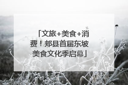 文旅+美食+消费！郏县首届东坡美食文化季启幕