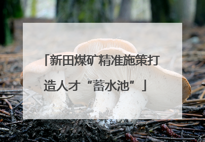 新田煤矿精准施策打造人才“蓄水池”