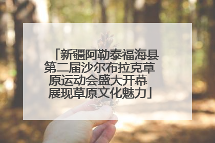 新疆阿勒泰福海县第二届沙尔布拉克草原运动会盛大开幕 展现草原文化魅力