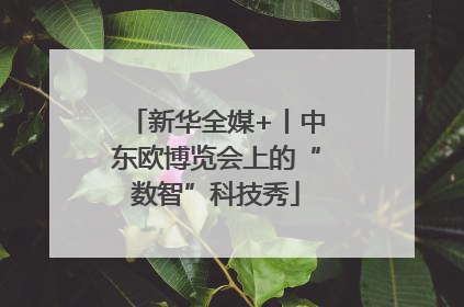 新华全媒+丨中东欧博览会上的“数智”科技秀
