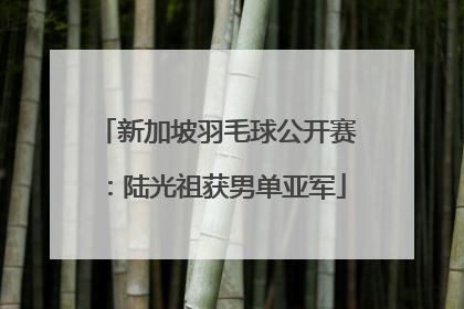 新加坡羽毛球公开赛：陆光祖获男单亚军