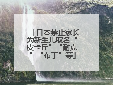 日本禁止家长为新生儿取名“皮卡丘”“耐克”“布丁”等