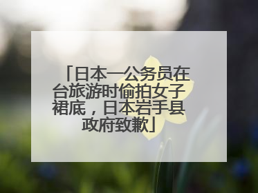 日本一公务员在台旅游时偷拍女子裙底，日本岩手县政府致歉