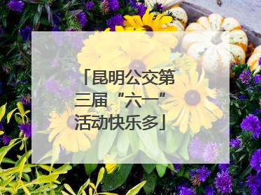 昆明公交第三届“六一”活动快乐多