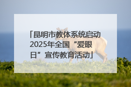 昆明市教体系统启动2025年全国“爱眼日”宣传教育活动