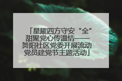 星耀四方守安“全” 甜聚党心传温情——舞阳社区党委开展流动党员建党节主题活动