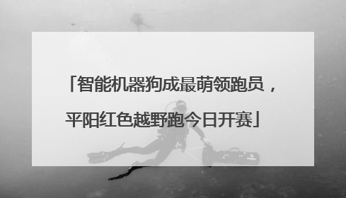 智能机器狗成最萌领跑员，平阳红色越野跑今日开赛