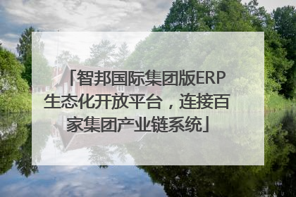 智邦国际集团版ERP生态化开放平台，连接百家集团产业链系统