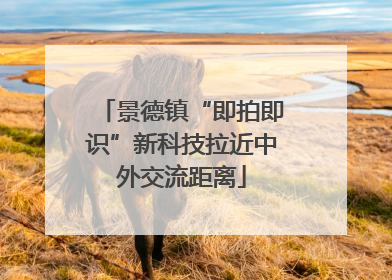 景德镇“即拍即识”新科技拉近中外交流距离