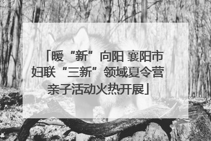 暖“新”向阳 襄阳市妇联“三新”领域夏令营亲子活动火热开展