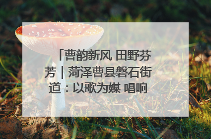 曹韵新风 田野芬芳｜菏泽曹县磐石街道：以歌为媒 唱响乡土“新歌声”