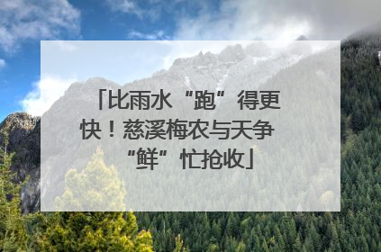 比雨水“跑”得更快！慈溪梅农与天争“鲜”忙抢收
