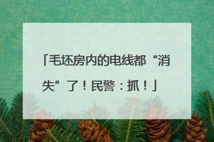 毛坯房内的电线都“消失”了！民警：抓！