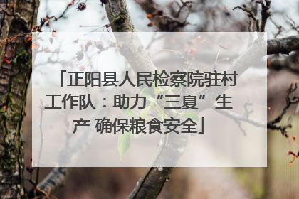 正阳县人民检察院驻村工作队：助力“三夏”生产 确保粮食安全