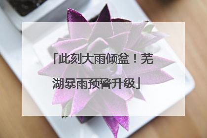 此刻大雨倾盆！芜湖暴雨预警升级