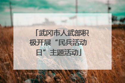 武冈市人武部积极开展“民兵活动日”主题活动
