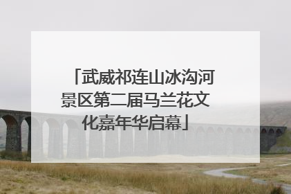 武威祁连山冰沟河景区第二届马兰花文化嘉年华启幕