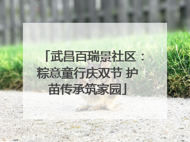 武昌百瑞景社区：粽意童行庆双节 护苗传承筑家园