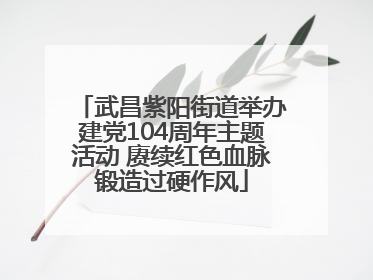 武昌紫阳街道举办建党104周年主题活动 赓续红色血脉锻造过硬作风