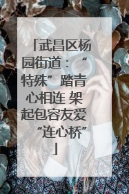 武昌区杨园街道:“特殊”踏青心相连 架起包容友爱“连心桥”