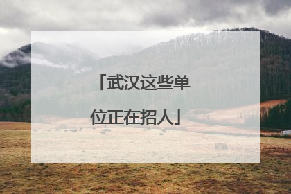 武汉这些单位正在招人