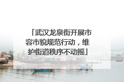 武汉龙泉街开展市容市貌规范行动，维护街道秩序不动摇