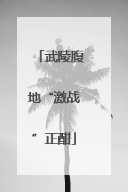武陵腹地“激战”正酣