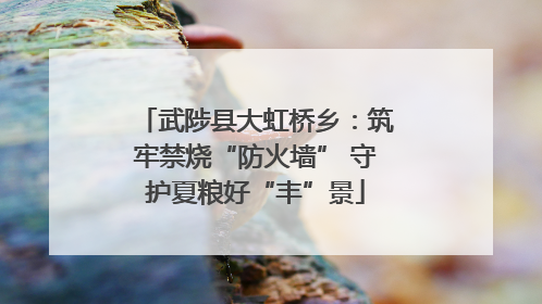 武陟县大虹桥乡：筑牢禁烧“防火墙” 守护夏粮好“丰”景