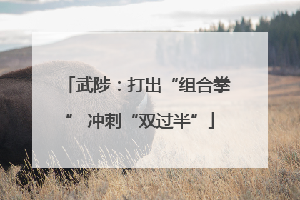 武陟：打出“组合拳” 冲刺“双过半”