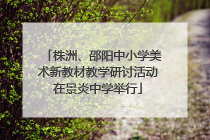 株洲、邵阳中小学美术新教材教学研讨活动在景炎中学举行