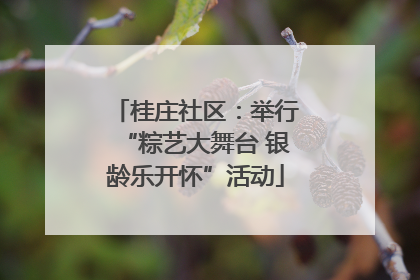 桂庄社区：举行“粽艺大舞台 银龄乐开怀”活动