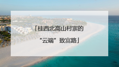 桂西北高山村寨的“云端”致富路