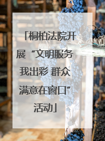 桐柏法院开展“文明服务我出彩 群众满意在窗口”活动