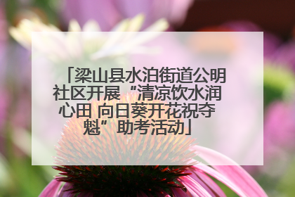 梁山县水泊街道公明社区开展“清凉饮水润心田 向日葵开花祝夺魁”助考活动