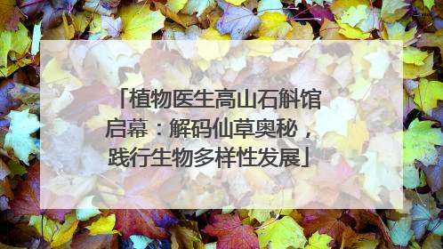 植物医生高山石斛馆启幕：解码仙草奥秘，践行生物多样性发展