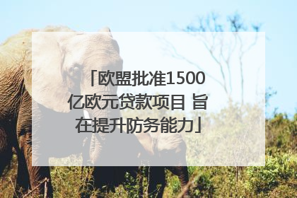欧盟批准1500亿欧元贷款项目 旨在提升防务能力