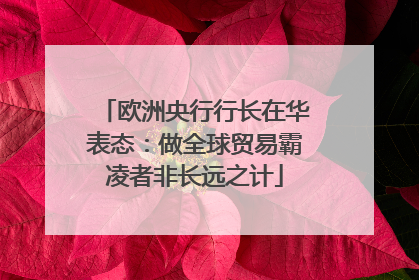 欧洲央行行长在华表态：做全球贸易霸凌者非长远之计