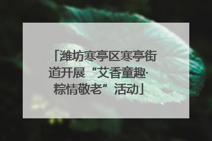 潍坊寒亭区寒亭街道开展“艾香童趣·粽情敬老”活动