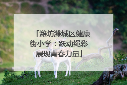 潍坊潍城区健康街小学：跃动绳彩展现青春力量