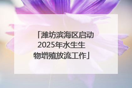 潍坊滨海区启动2025年水生生物增殖放流工作