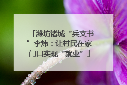 潍坊诸城“兵支书”李炜：让村民在家门口实现“就业”