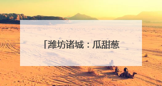 潍坊诸城：瓜甜葱郁处 产业好风光
